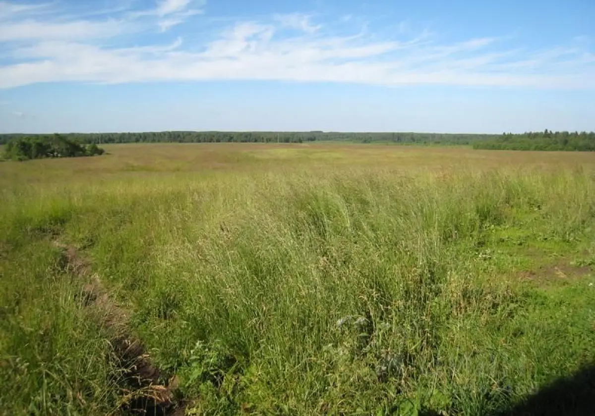 Сдам земельный участок