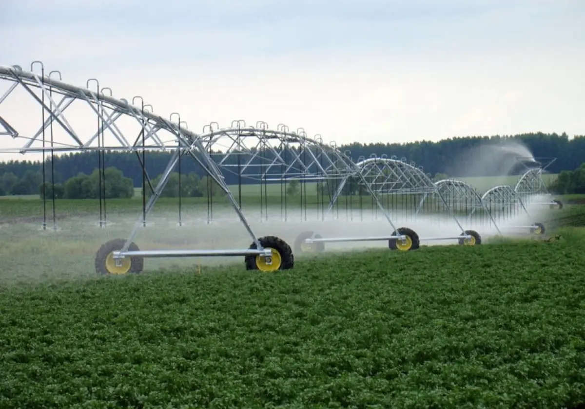 Орошитель в аренду