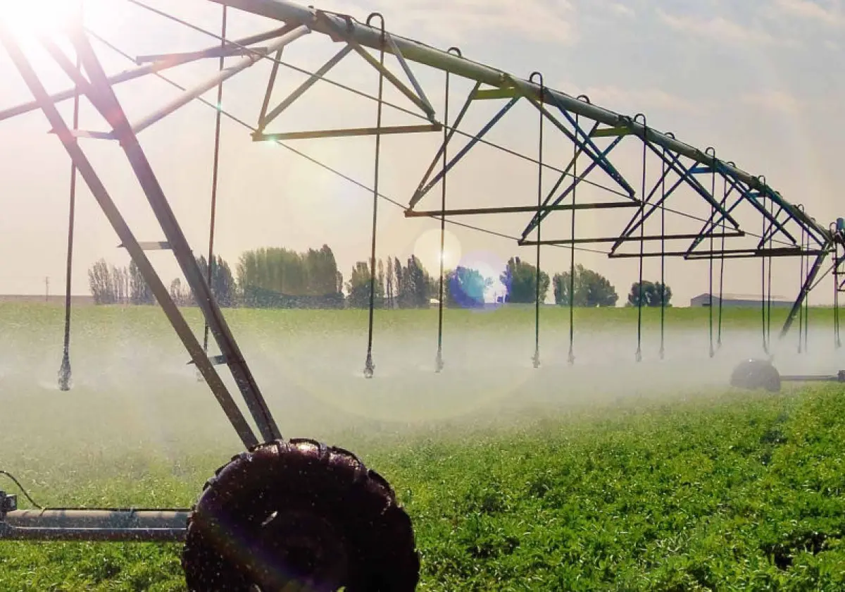 Орошитель в аренду