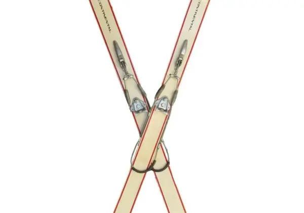 Лыжи в аренду