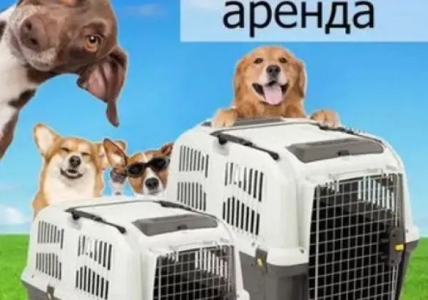 Переноска для животных