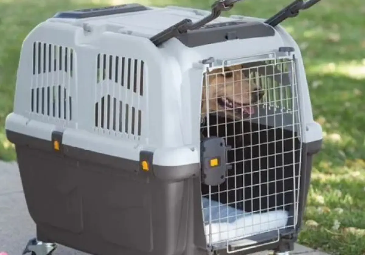 Переноска для животных
