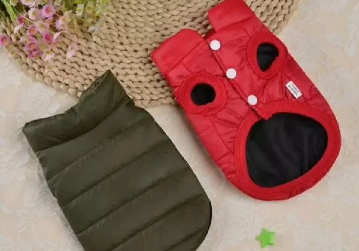 Одежда для животных