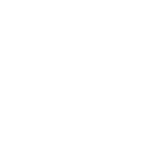 Смарт Плюс Специальный