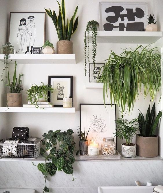 Фото № 1: Как разместить комнатные растения в интерьере, если для них нет места