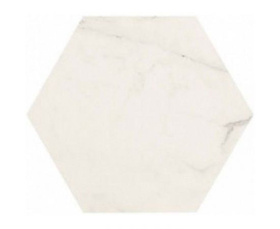 Керамогранит Allmarble Altissimo 21х18,2
