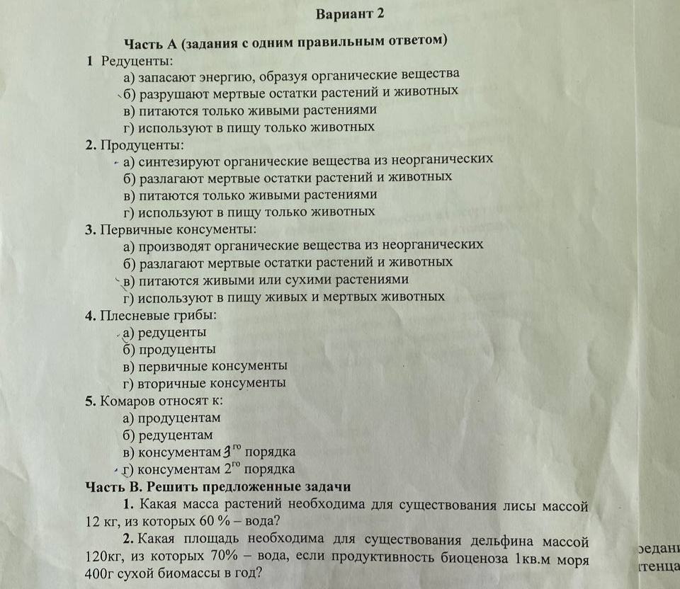 Условие: Реши задания и задачи по тексту
