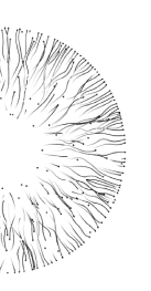 semisphere