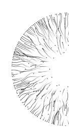semisphere