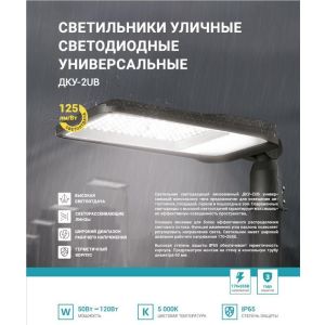 светильник уличный линзованный светодиодный дку-2ub 70вт 230в 5000к 8750лм 125лм/вт универсальный ip65 neox