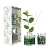 арома сет fresh lemon & eucalyptus, 80 мл., д105 ш75 в240