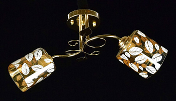 светильник потолочный дс2314/2b fgd (6) [01086435]