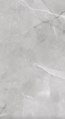 гранит кер. ab 1142g armani silver gloss 120x60 в уп.1,44 м2