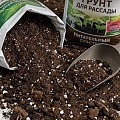 грунты для растений
