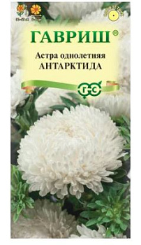 астра антарктида, однолетняя (пионовидная белая) 0,3 г