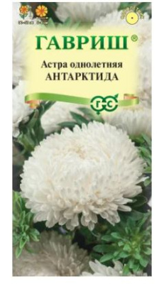 астра антарктида, однолетняя (пионовидная белая) 0,3 г