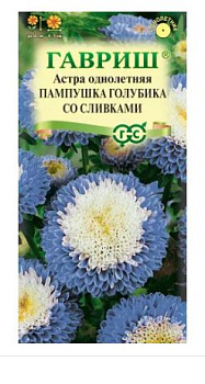 астра пампушка голубика со сливками, однолетняя (помпонная) 0,3 г