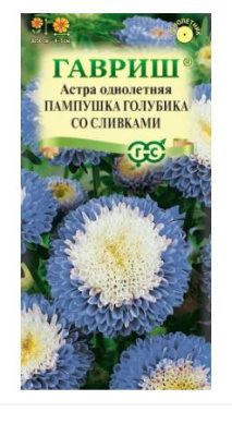 астра пампушка голубика со сливками, однолетняя (помпонная) 0,3 г