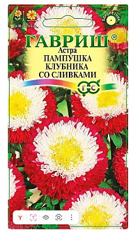 астра пампушка клубника со сливками, однолетняя (помпонная) 0,3 г
