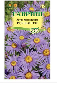 астра рудольф гете, итальянская (многолетн)* 0,05 г