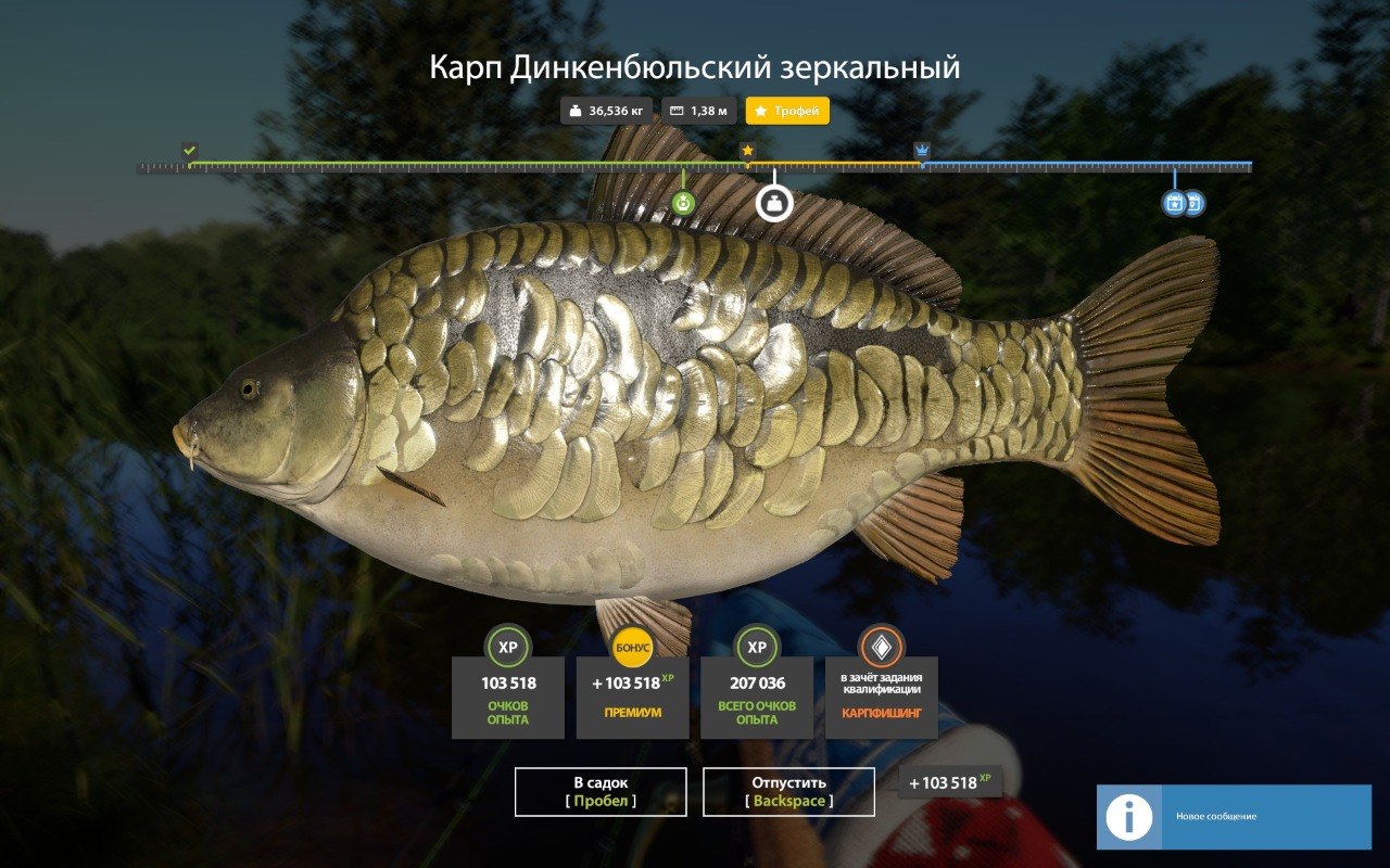 Трофей — Озеро Медное