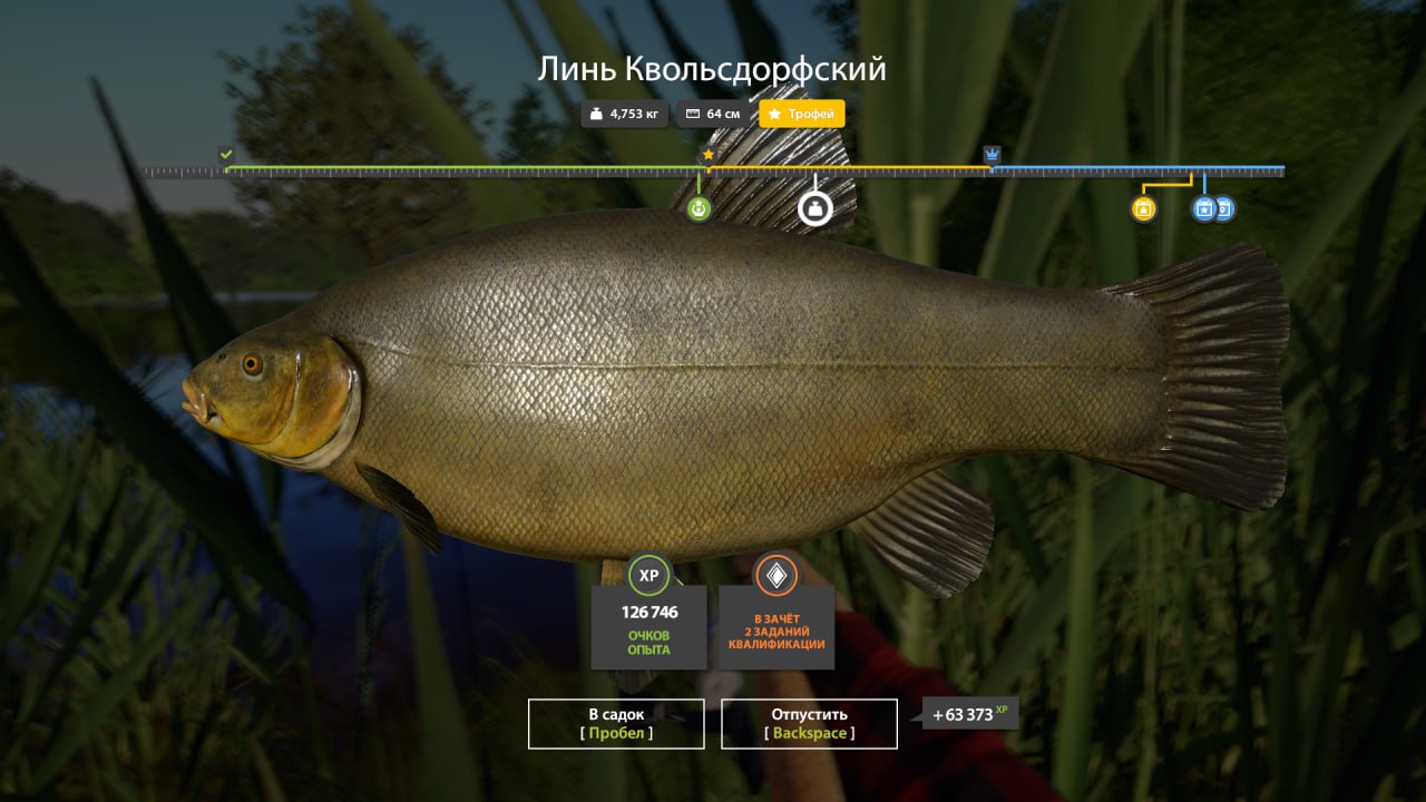 Trophy — Copper Lake