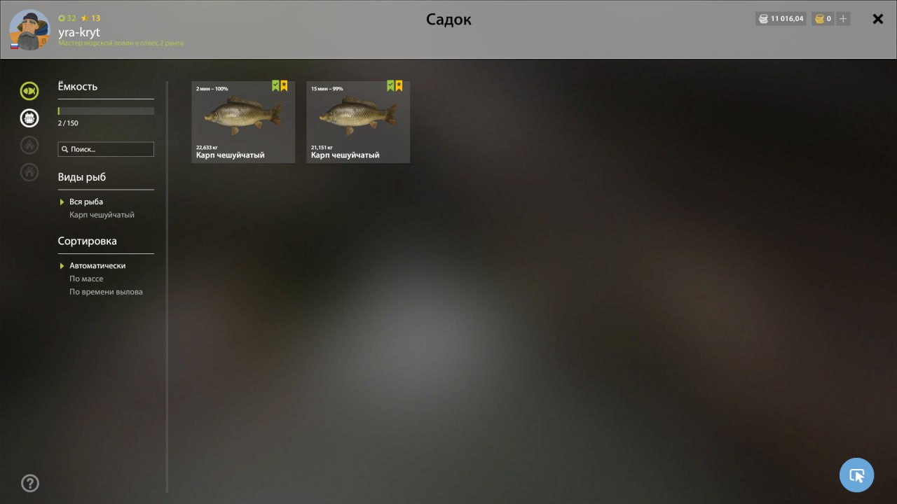 Keepnet — The Amber Lake