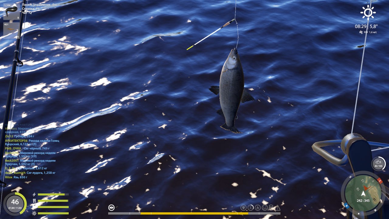 Трофей — Ладожский архипелаг