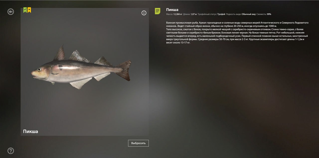 Норвежское море — Трофей