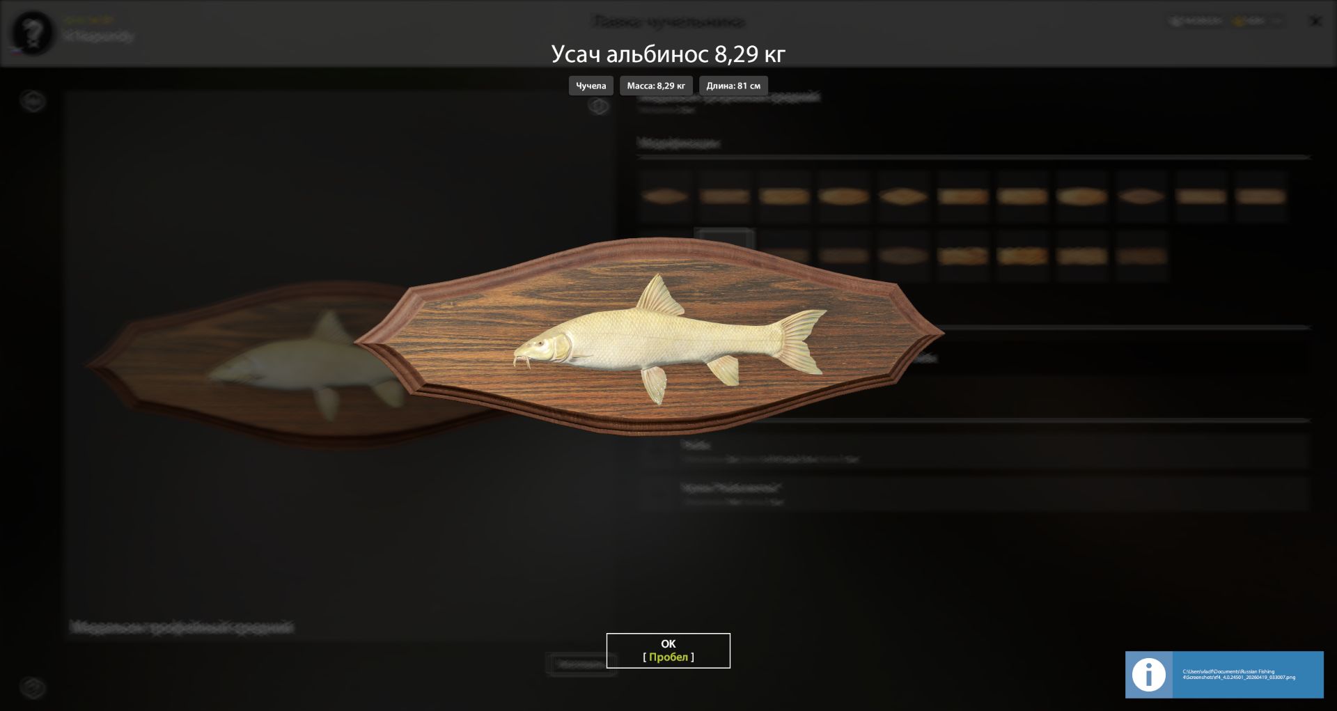 Озеро Медвежье — Разное