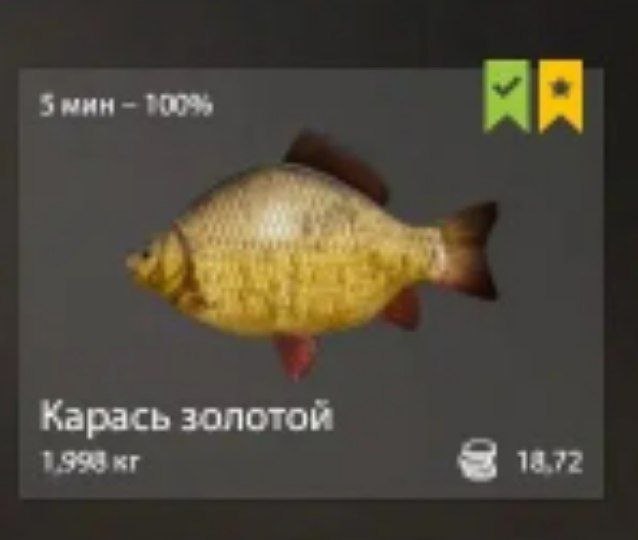 Trophy — Mosquito Lake