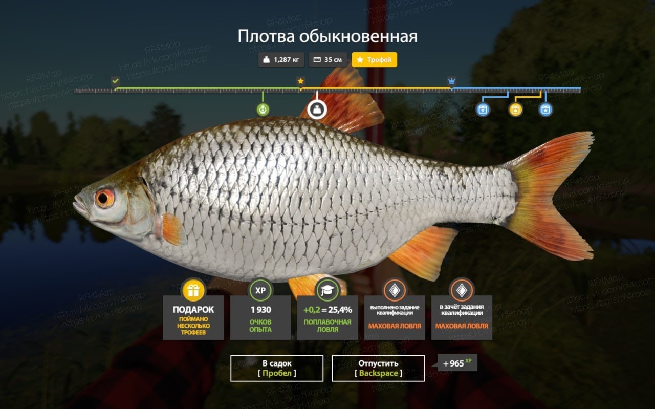 Mosquito Lake — Trophy