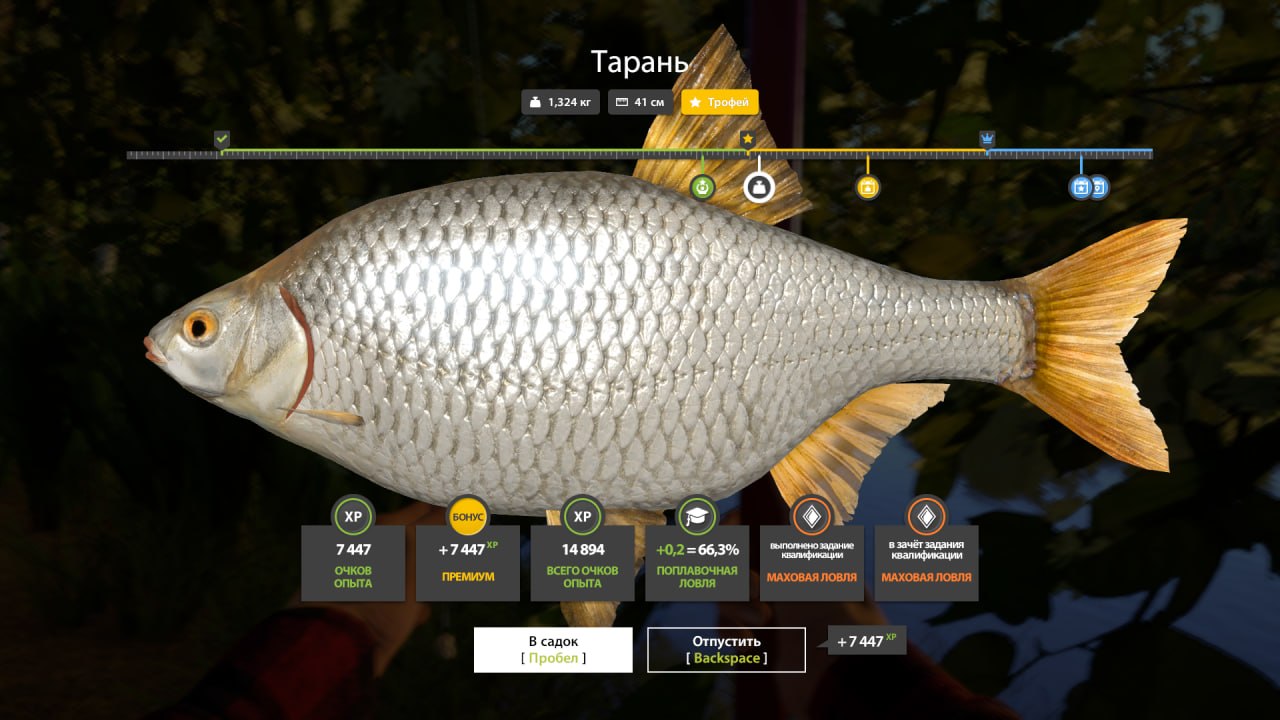 Река Северский Донец