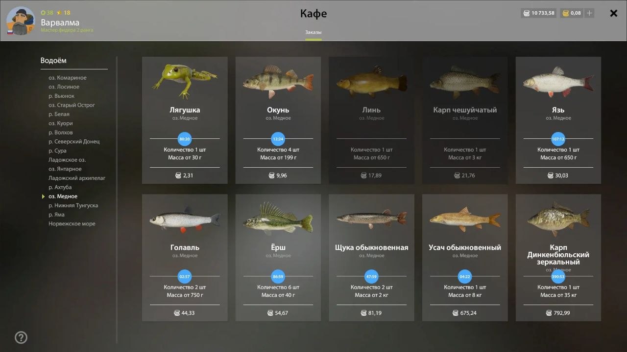 Miscellaneous — Copper Lake