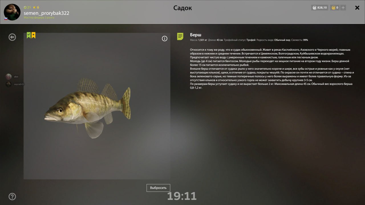 Winding Rivulet — Trophy