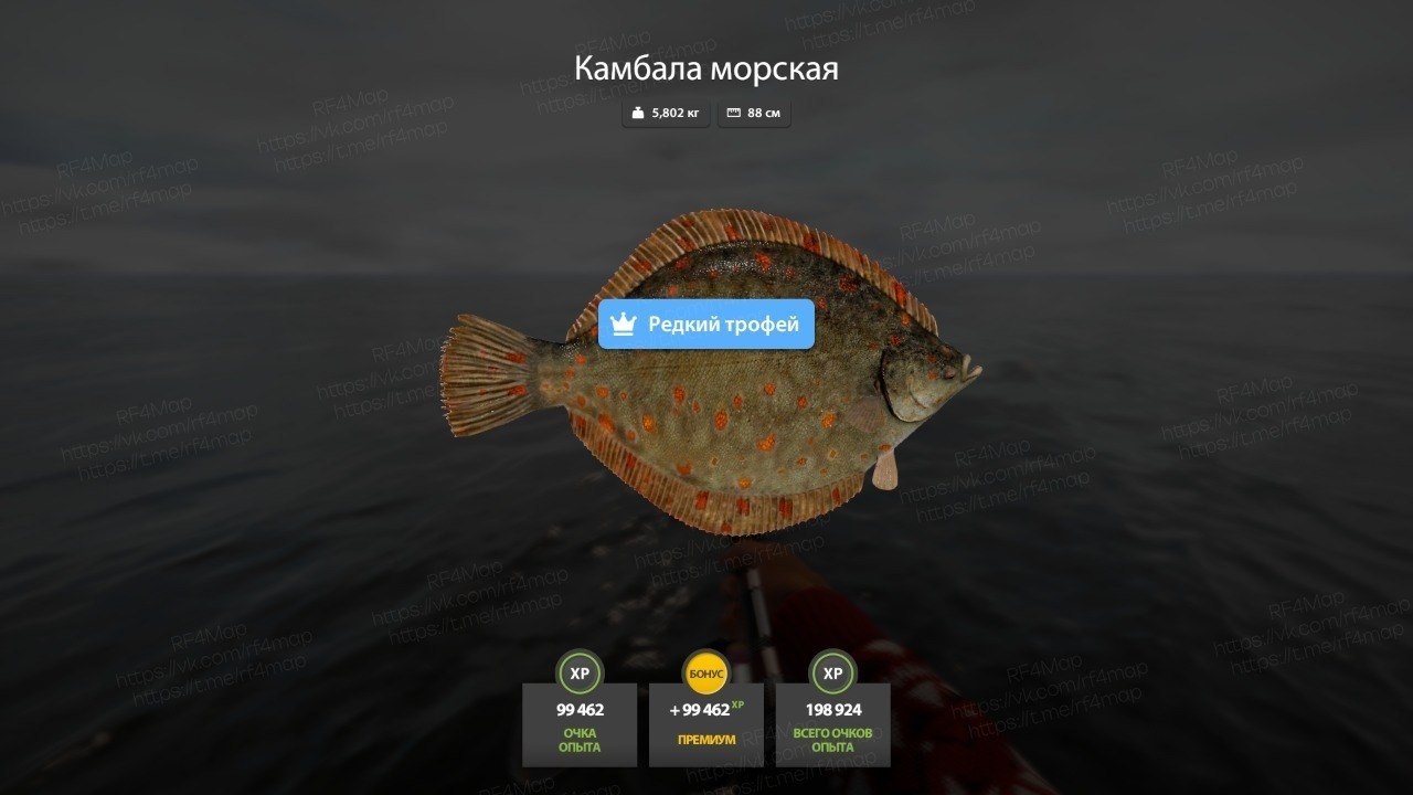 Норвежское море