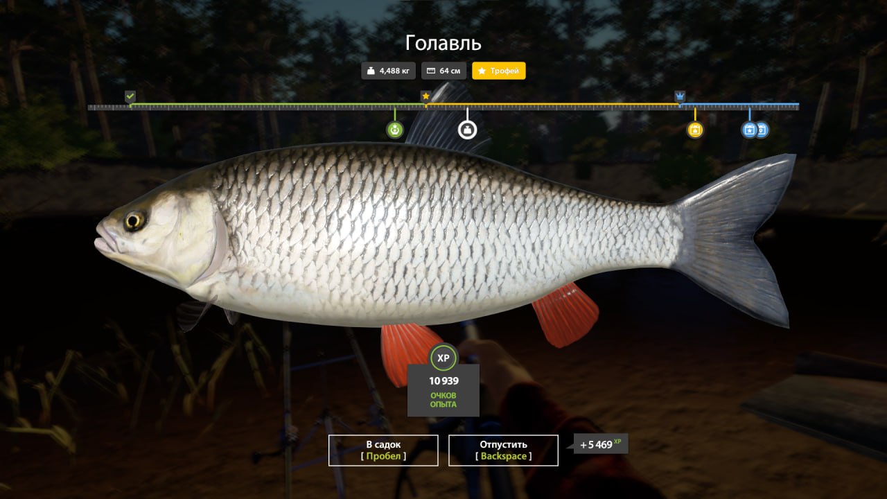 Trophy — Winding Rivulet