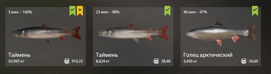 Lower Tunguska River — Keepnet