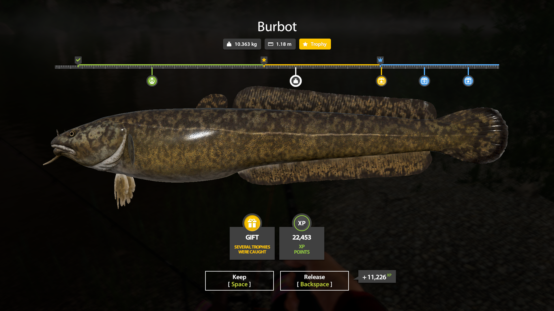 Belaya River — Trophy