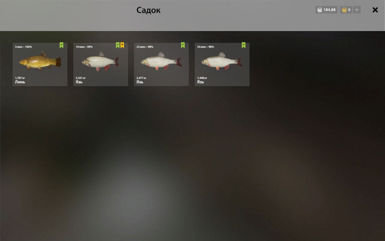 Озеро Комариное — Садок