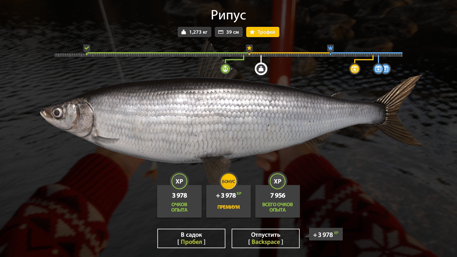 Trophy — Ladoga Lake