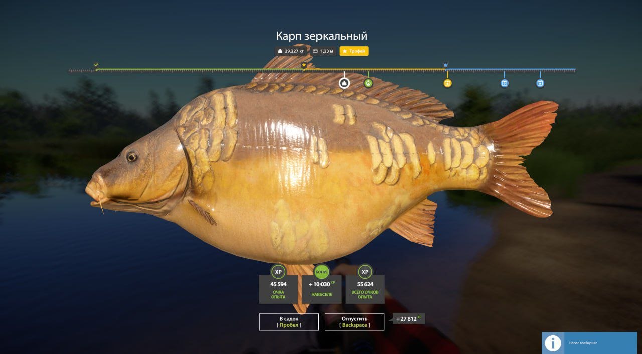 Bear Lake — Trophy