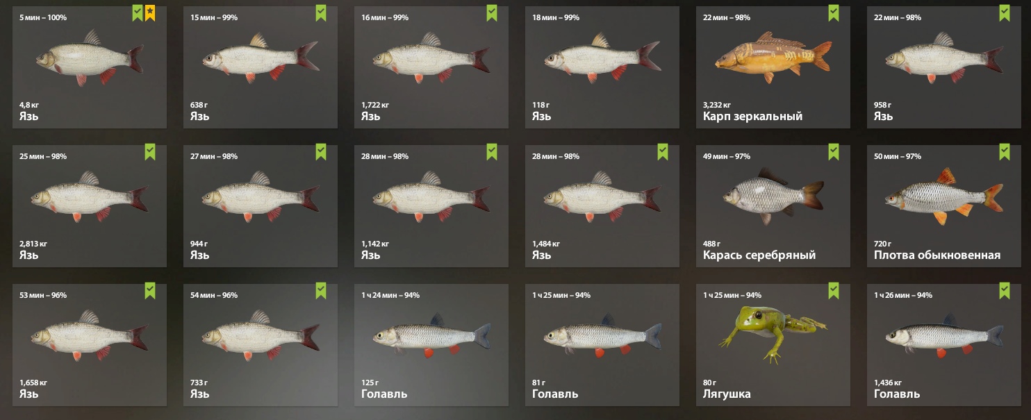 Озеро Комариное — Садок