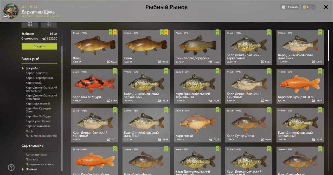 Садок — Озеро Медное