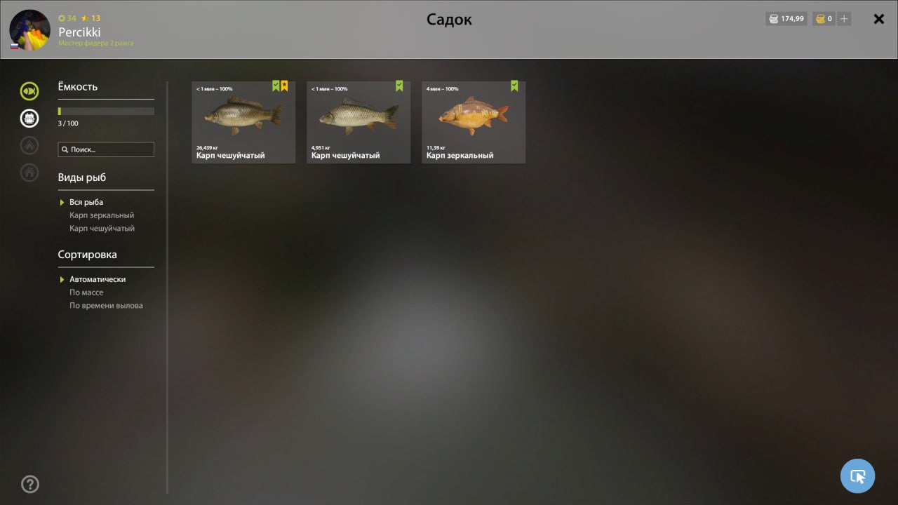 Садок — Озеро Янтарное