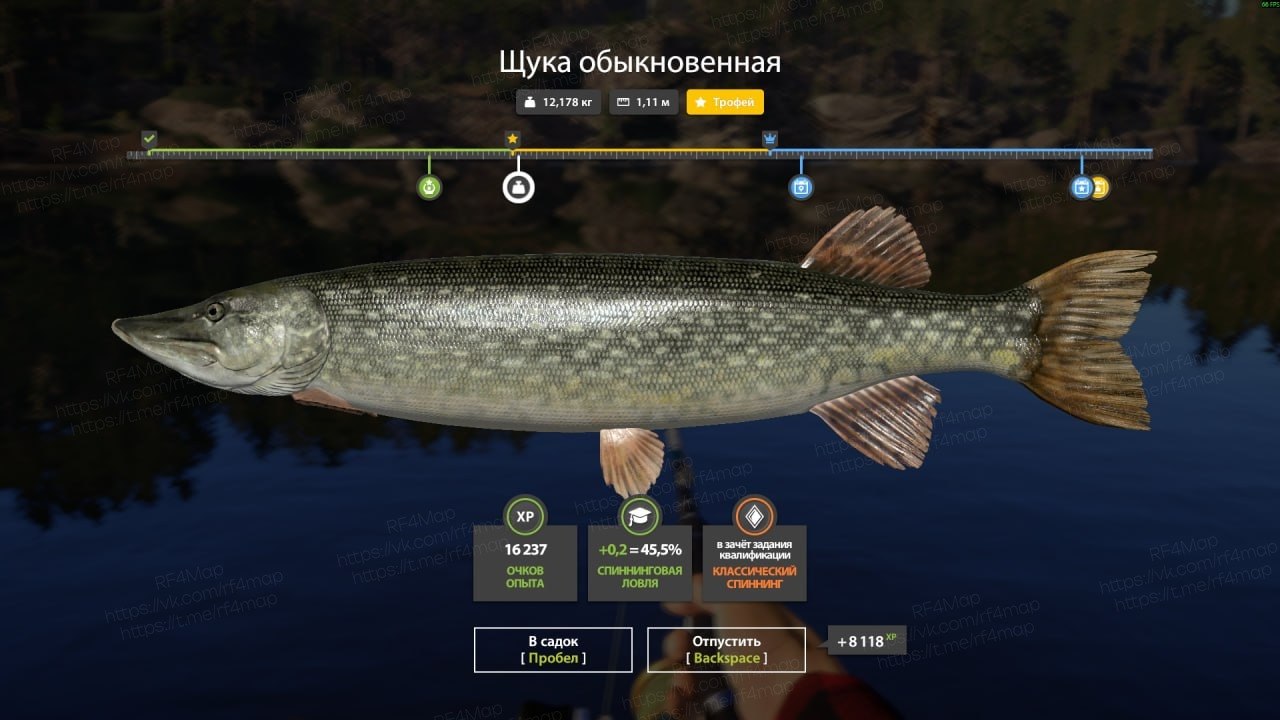 Озеро Куори