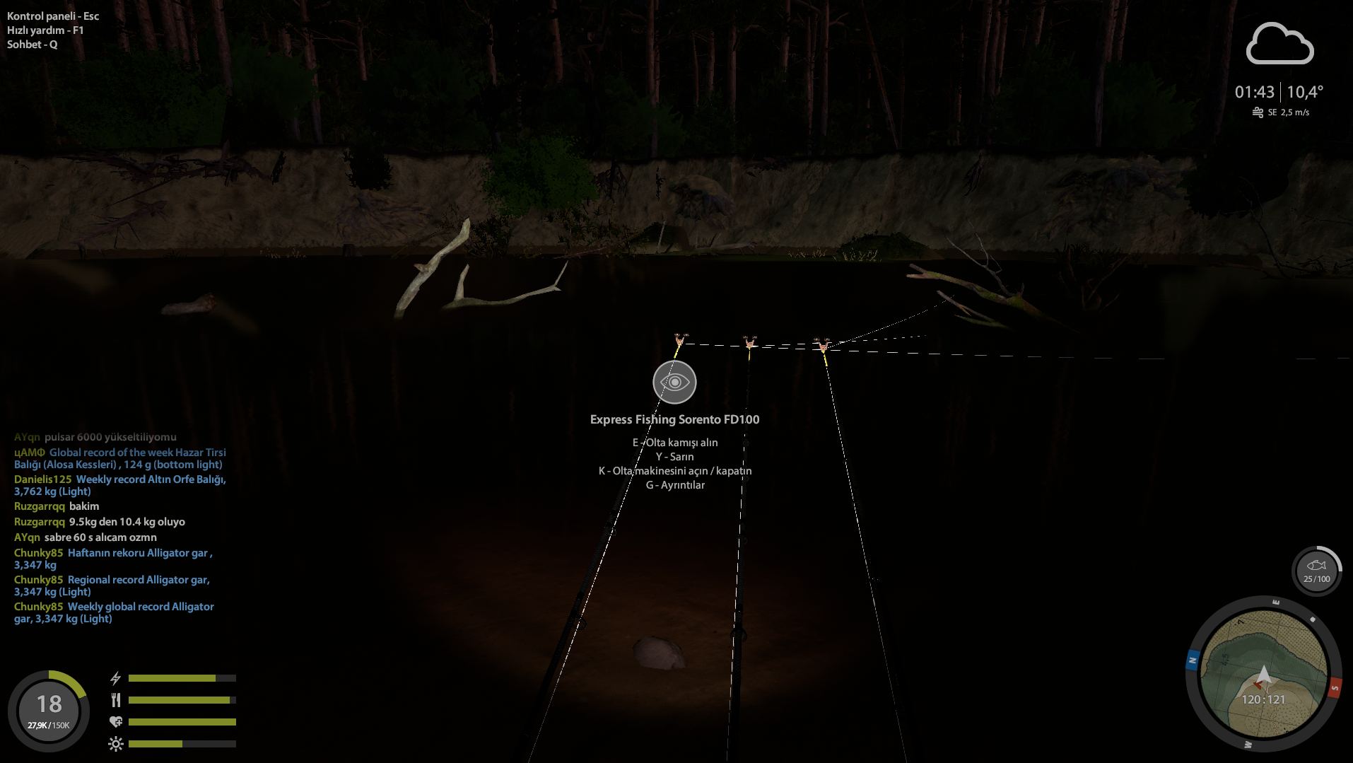 Winding Rivulet — Spot