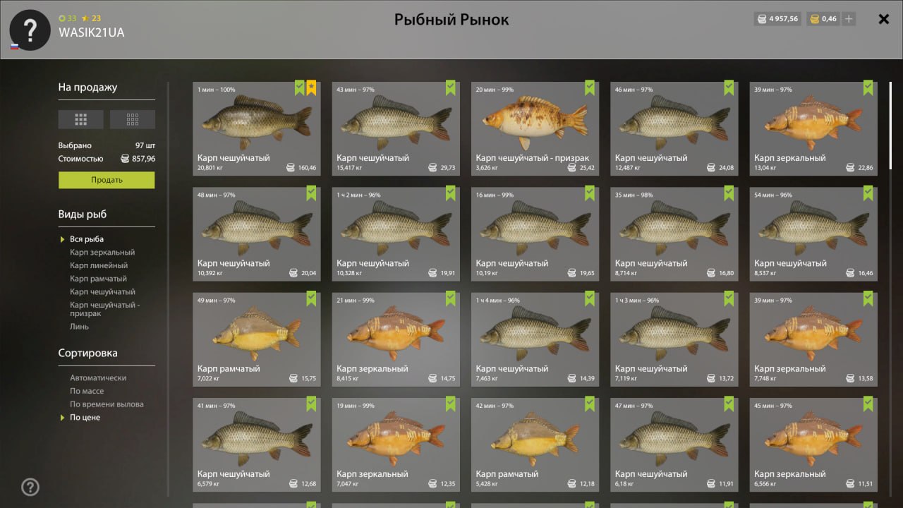 Keepnet — The Amber Lake