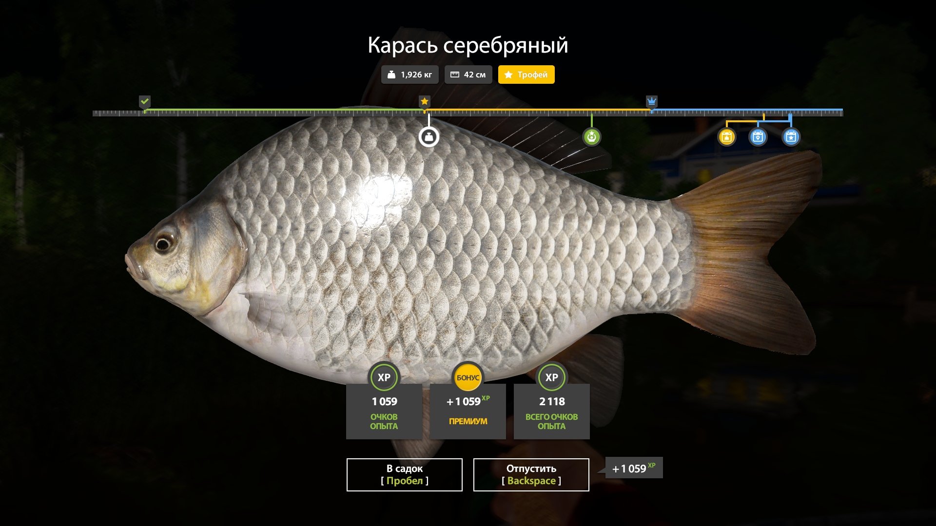 Mosquito Lake — Trophy