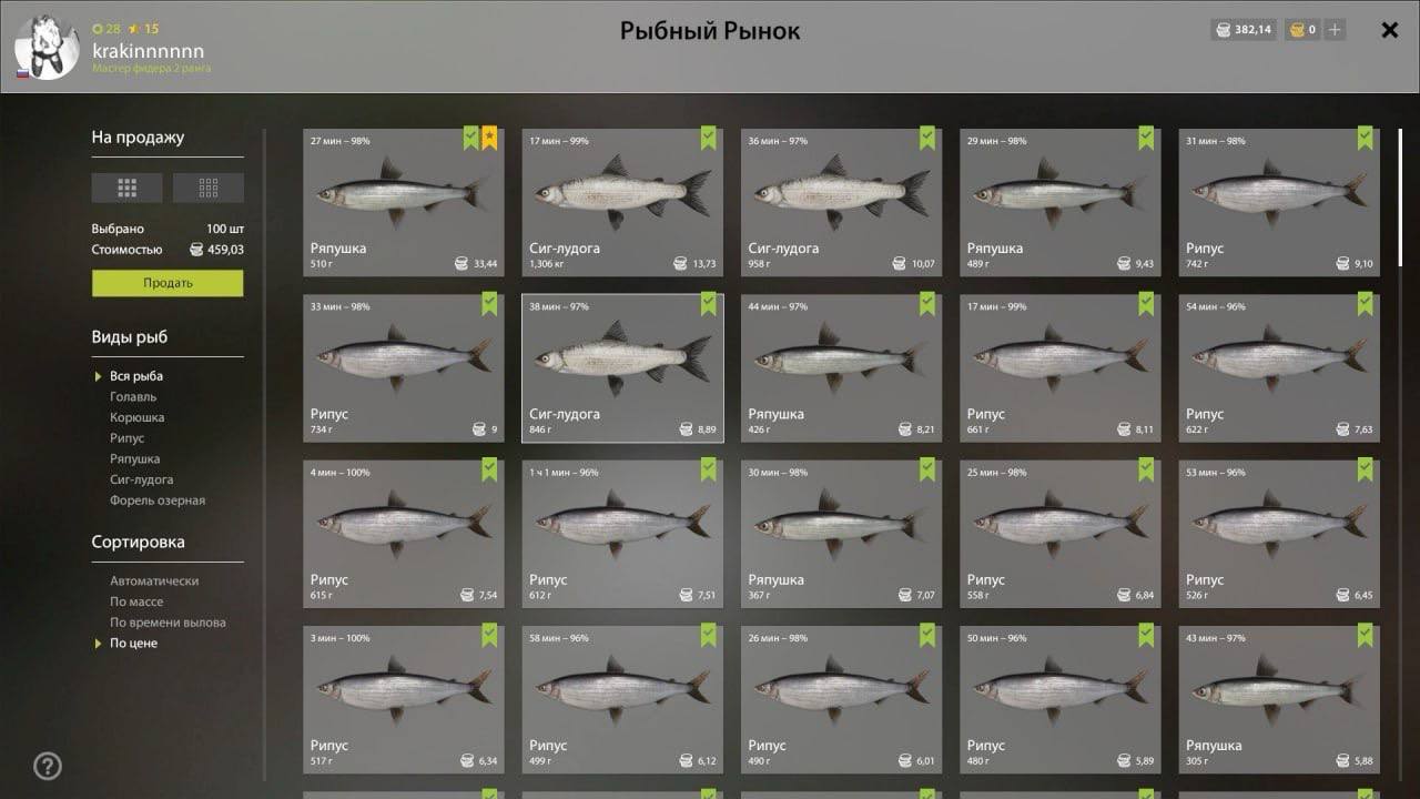 Ладожское озеро — Садок